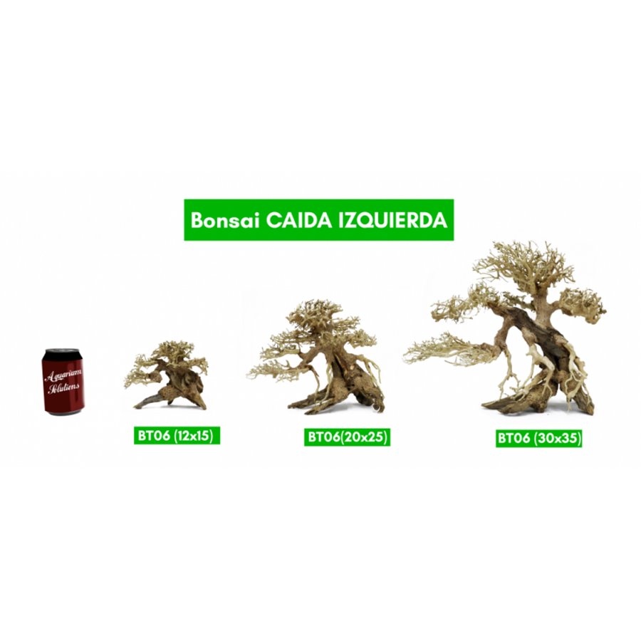 BONSAQUA – Links fallender Bonsai – Bt06 – ca. 12 x 15.