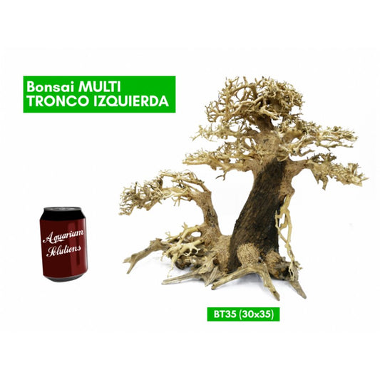 BONSAQUA – Bonsai-Multistamm links – Bt35 – 30 x 35 APROx.