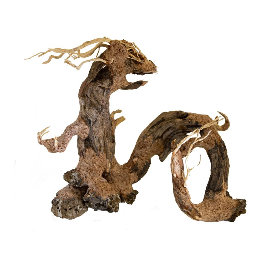 BONSAQUA – Bonsai-Drache – Bt42 – ca. 30 x 35 cm.