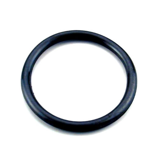 DELTEC - O-Ring für Pve von 20