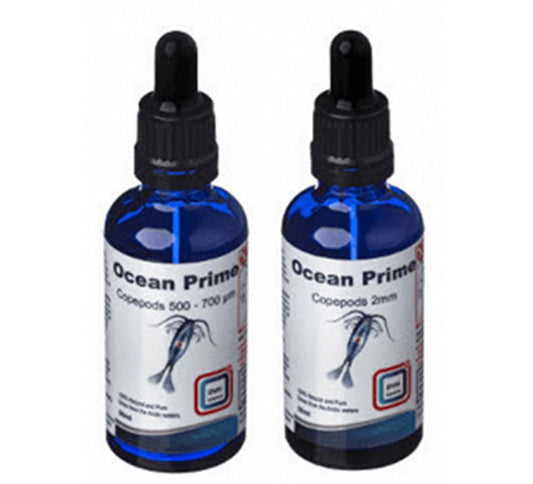 DVH - Ocean Prime Copepods 500-700 Mikrometer 50 ml.