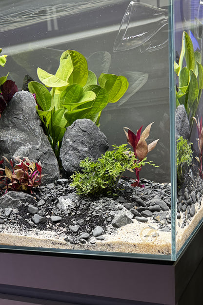 Acuario Fluval VISI-WHITE 60P de 78 litros - Urna de cristal óptico