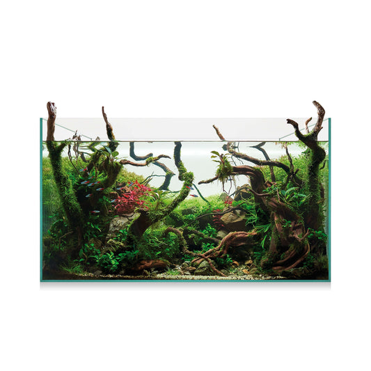 Kit AquaScape 145 de 143 litros