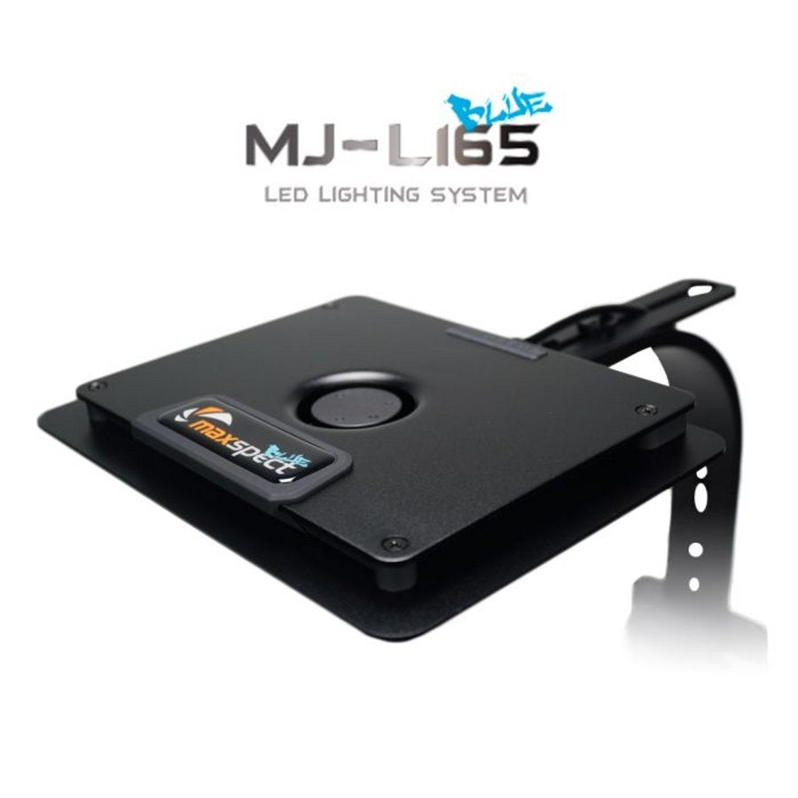 MAXSPECT - Jump LED-Bildschirm Mj-L165