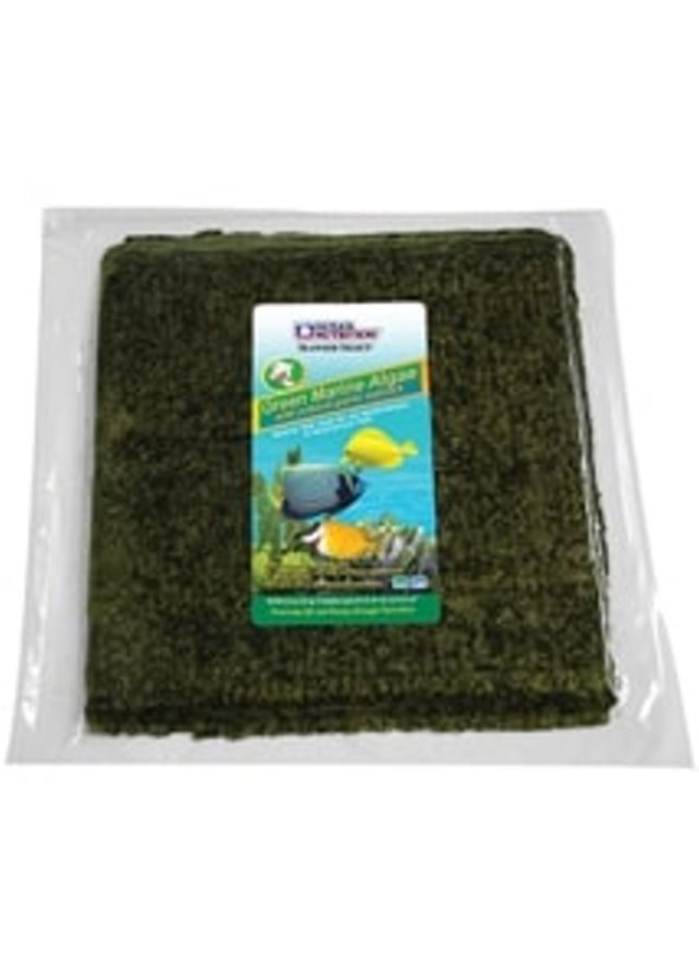 Ocean Nutrition - Algas Marinhas Liofilizadas a Granel 50 H. (Verde)