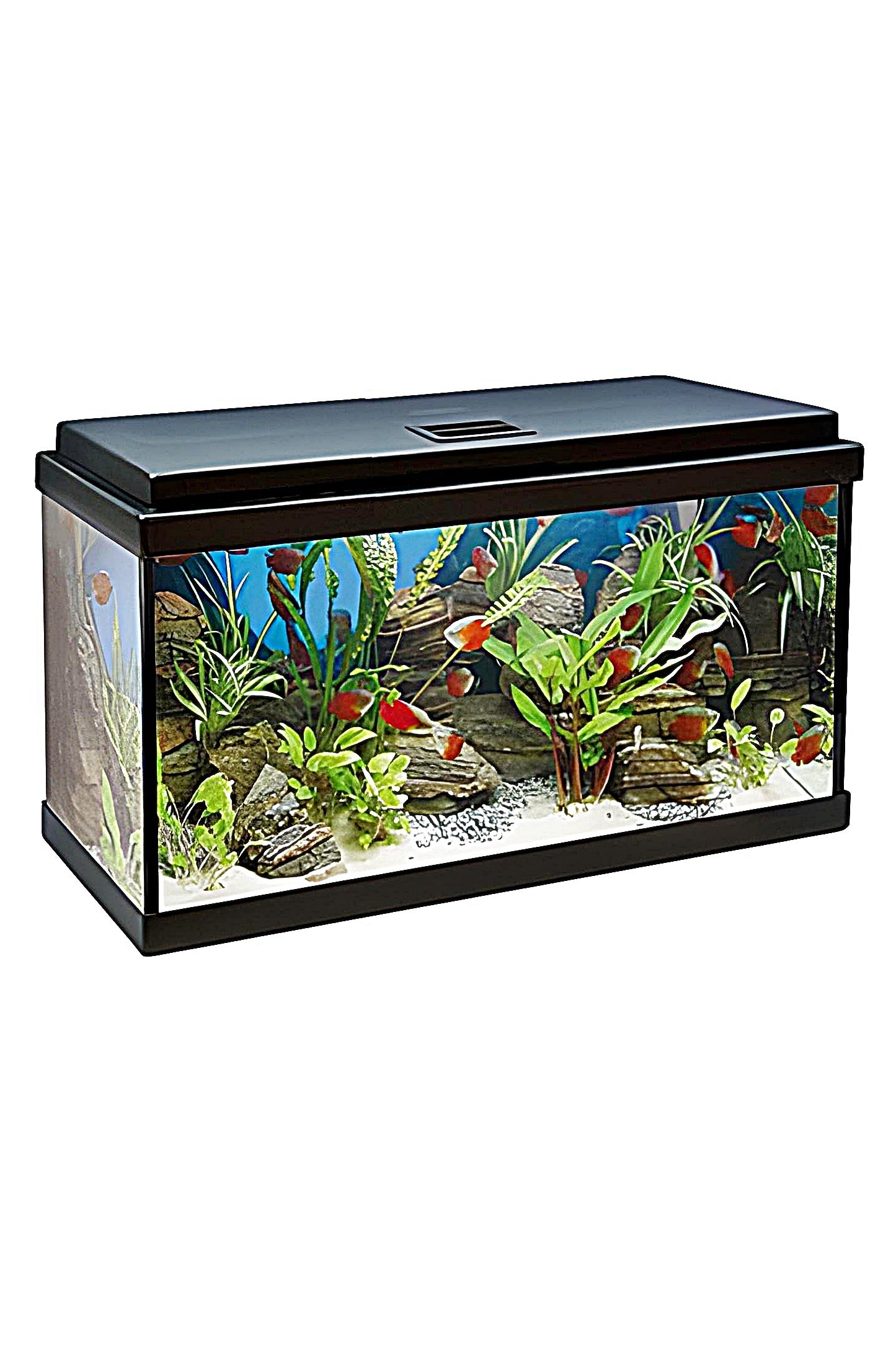 Acuario Kit AquaLED 100 con Filtro Interior (100 litros)