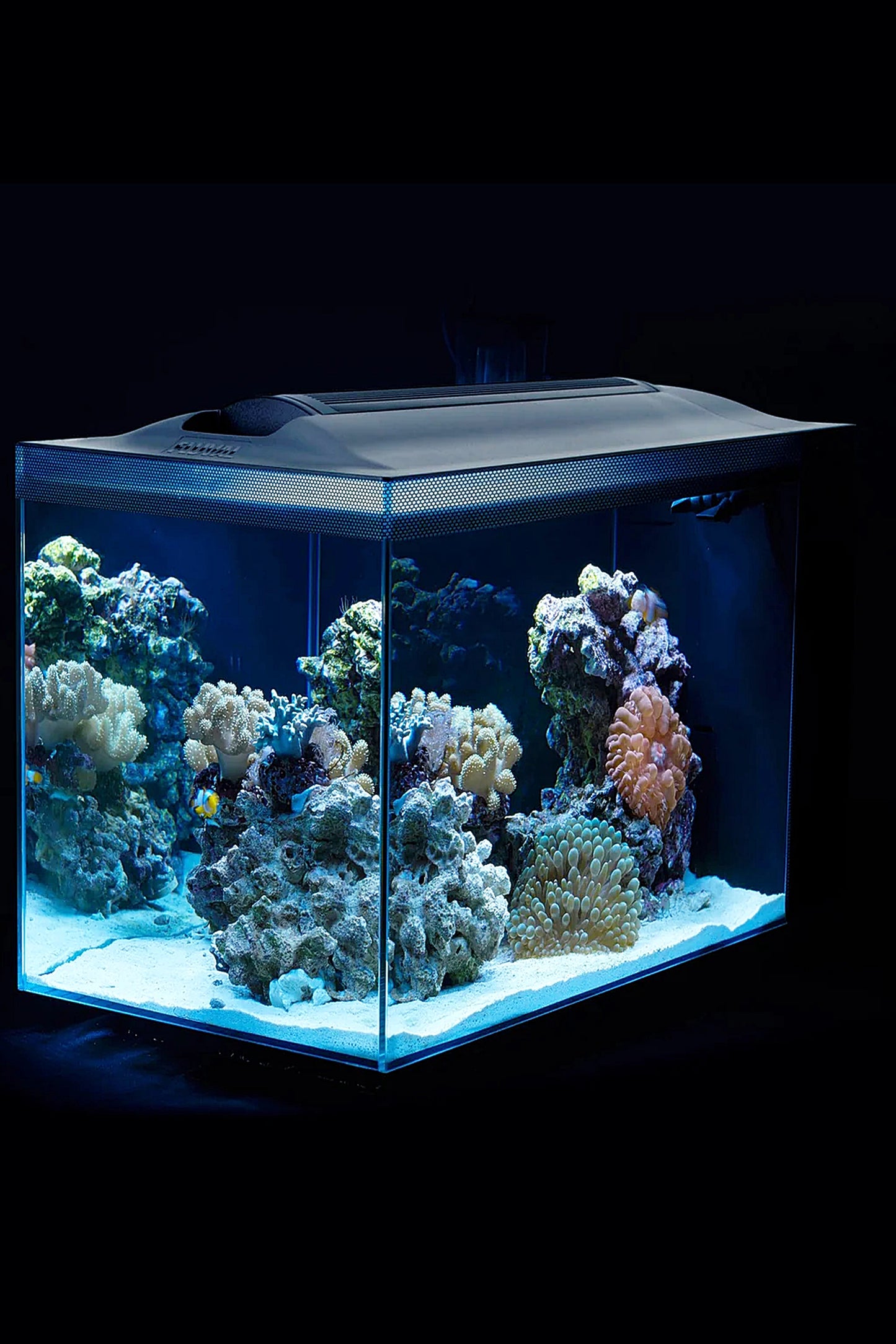 Acuario Marino FLUVAL EVO de 52 litros en Negro