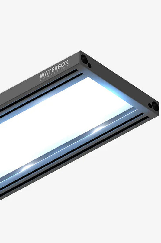 WATERBOX - Pantalla FLED 34 de 70 LEDs