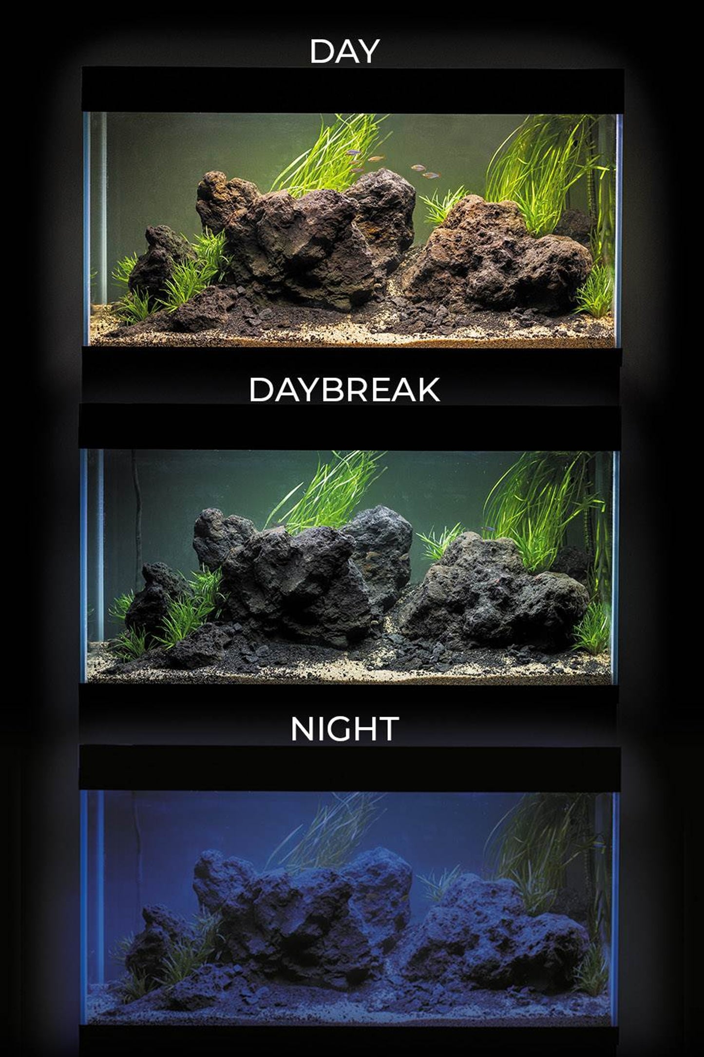 Acuario Optiset 240 litros con mueble Gris